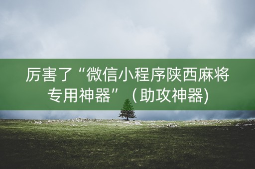 厉害了“微信小程序陕西麻将专用神器”（助攻神器)
