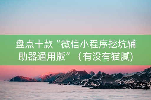 盘点十款“微信小程序挖坑辅助器通用版”（有没有猫腻)