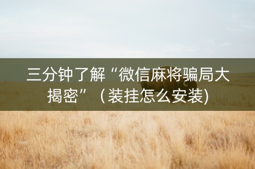 三分钟了解“微信麻将骗局大揭密”（装挂怎么安装)