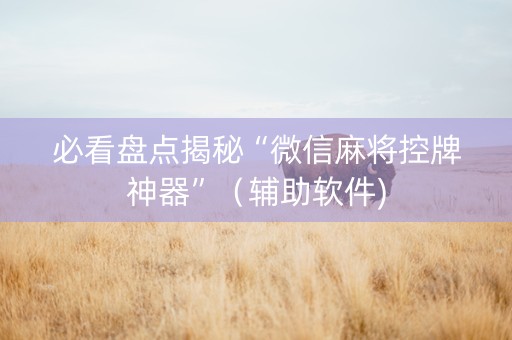 必看盘点揭秘“微信麻将控牌神器”（辅助软件)
