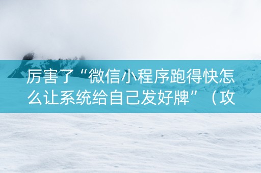 厉害了“微信小程序跑得快怎么让系统给自己发好牌”（攻略插件)