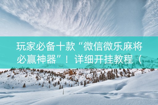玩家必备十款“微信微乐麻将必赢神器”！详细开挂教程（确实真的有挂)-知乎