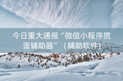今日重大通报“微信小程序掼蛋辅助器”（辅助软件)