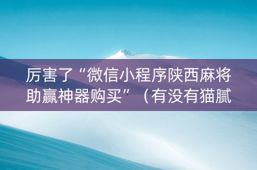 厉害了“微信小程序陕西麻将助赢神器购买”（有没有猫腻)