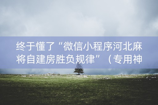 终于懂了“微信小程序河北麻将自建房胜负规律”（专用神器下载)