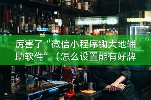 厉害了“微信小程序锄大地辅助软件”（怎么设置能有好牌)