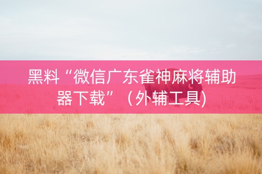 黑料“微信广东雀神麻将辅助器下载”（外辅工具)