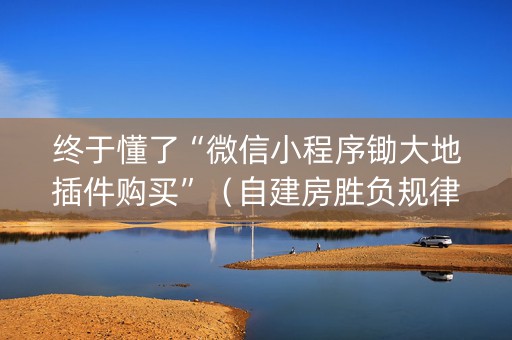 终于懂了“微信小程序锄大地插件购买”（自建房胜负规律)