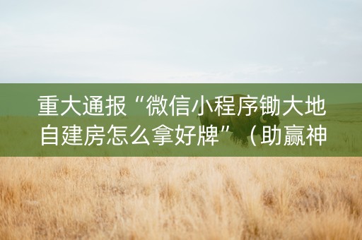 重大通报“微信小程序锄大地自建房怎么拿好牌”（助赢神器)