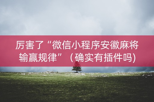 厉害了“微信小程序安徽麻将输赢规律”（确实有插件吗)