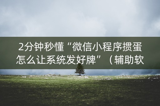 2分钟秒懂“微信小程序掼蛋怎么让系统发好牌”（辅助软件)