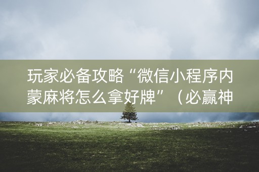 玩家必备攻略“微信小程序内蒙麻将怎么拿好牌”（必赢神器)