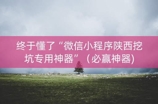 终于懂了“微信小程序陕西挖坑专用神器”（必赢神器)