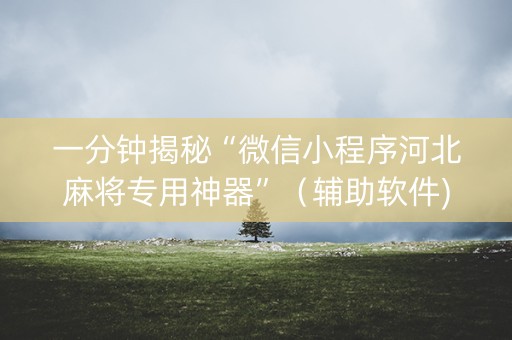 一分钟揭秘“微信小程序河北麻将专用神器”（辅助软件)