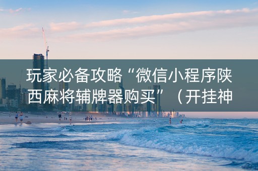 玩家必备攻略“微信小程序陕西麻将辅牌器购买”（开挂神器下载)