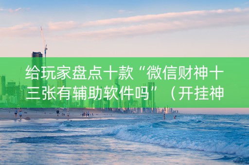 给玩家盘点十款“微信财神十三张有辅助软件吗”（开挂神器下载)