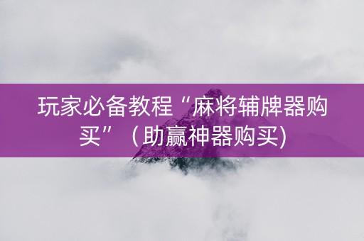 玩家必备教程“麻将辅牌器购买”（助赢神器购买)
