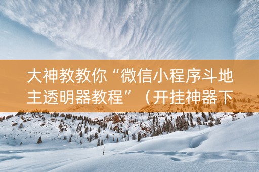 大神教教你“微信小程序斗地主透明器教程”（开挂神器下载)