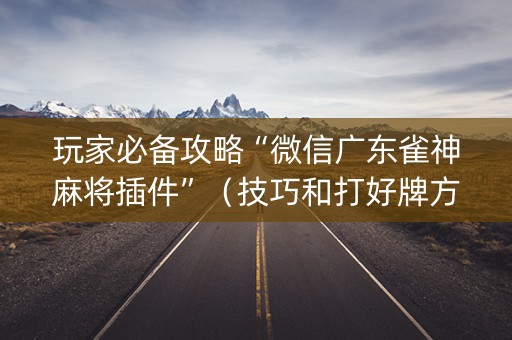 玩家必备攻略“微信广东雀神麻将插件”（技巧和打好牌方法)