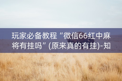 玩家必备教程“微信66红中麻将有挂吗”(原来真的有挂)-知乎