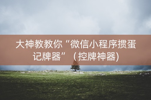 大神教教你“微信小程序掼蛋记牌器”（控牌神器)