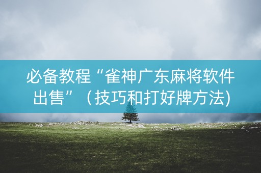 必备教程“雀神广东麻将软件出售”（技巧和打好牌方法)