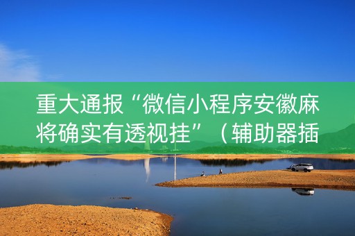 重大通报“微信小程序安徽麻将确实有透视挂”（辅助器插件)
