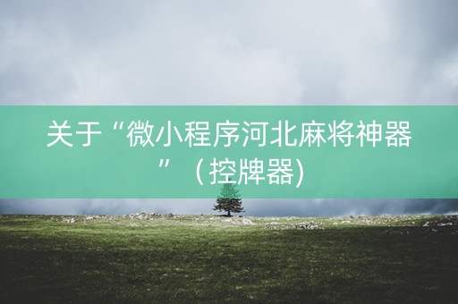 关于“微小程序河北麻将神器”（控牌器)