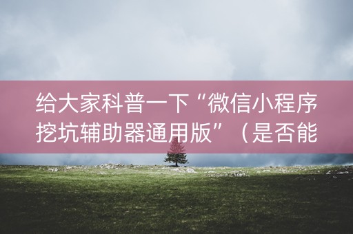 给大家科普一下“微信小程序挖坑辅助器通用版”（是否能开挂)