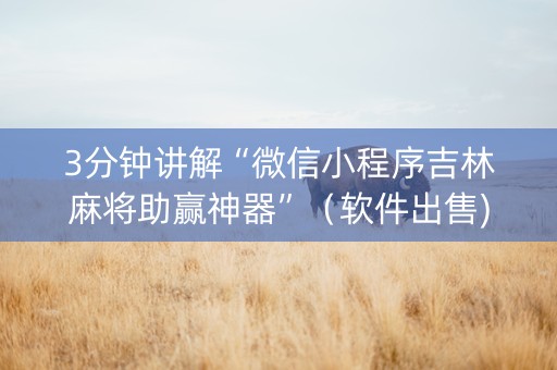 3分钟讲解“微信小程序吉林麻将助赢神器”（软件出售)