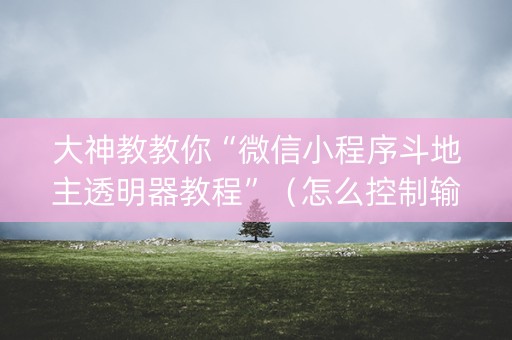 大神教教你“微信小程序斗地主透明器教程”（怎么控制输赢)
