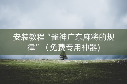 安装教程“雀神广东麻将的规律”（免费专用神器)