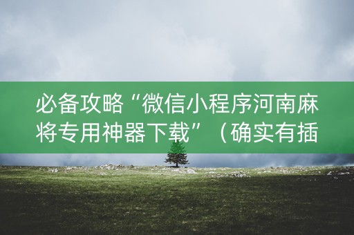 必备攻略“微信小程序河南麻将专用神器下载”（确实有插件吗)