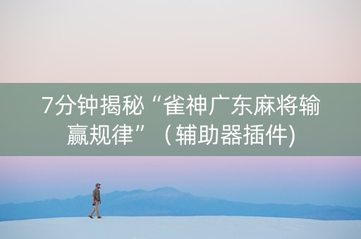 7分钟揭秘“雀神广东麻将输赢规律”（辅助器插件)