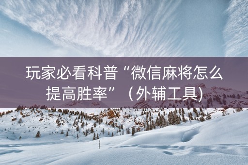 玩家必看科普“微信麻将怎么提高胜率”（外辅工具)