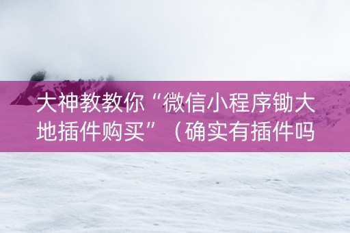 大神教教你“微信小程序锄大地插件购买”（确实有插件吗)