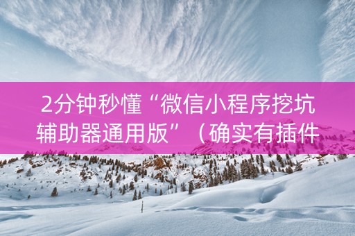 2分钟秒懂“微信小程序挖坑辅助器通用版”（确实有插件吗)