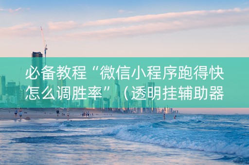 必备教程“微信小程序跑得快怎么调胜率”（透明挂辅助器)