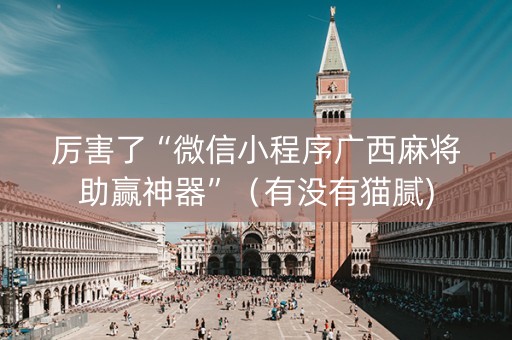 厉害了“微信小程序广西麻将助赢神器”（有没有猫腻)
