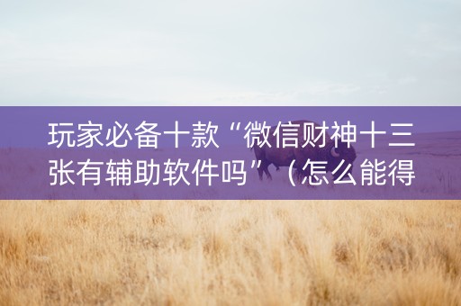 玩家必备十款“微信财神十三张有辅助软件吗”（怎么能得到好牌)