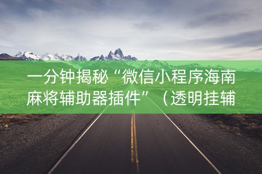 一分钟揭秘“微信小程序海南麻将辅助器插件”（透明挂辅助器)
