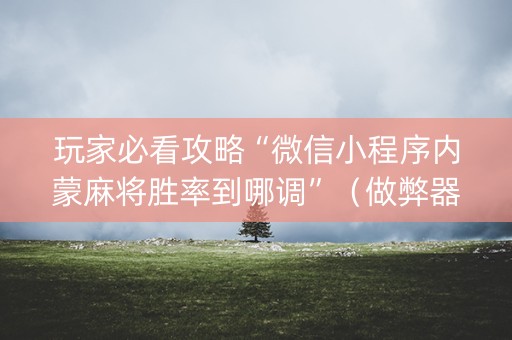 玩家必看攻略“微信小程序内蒙麻将胜率到哪调”（做弊器软件下载)