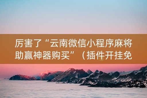 厉害了“云南微信小程序麻将助赢神器购买”（插件开挂免费AI)