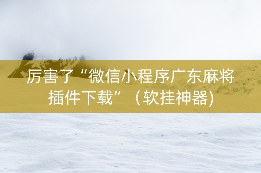厉害了“微信小程序广东麻将插件下载”（软挂神器)