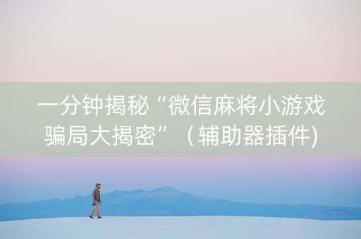 一分钟揭秘“微信麻将小游戏骗局大揭密”（辅助器插件)