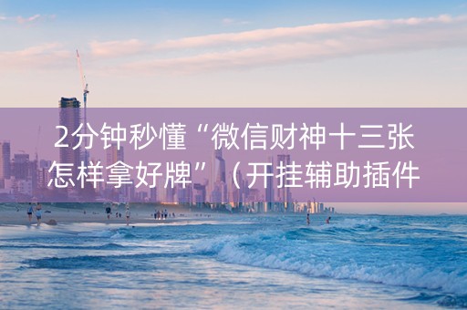 2分钟秒懂“微信财神十三张怎样拿好牌”（开挂辅助插件)