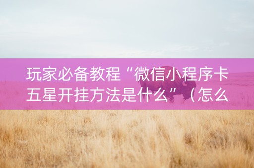 玩家必备教程“微信小程序卡五星开挂方法是什么”（怎么让系统给你发好牌)
