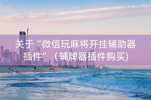 关于“微信玩麻将开挂辅助器插件”（辅牌器插件购买)