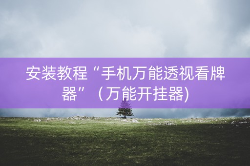 安装教程“手机万能透视看牌器”（万能开挂器)