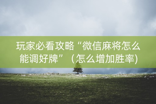 玩家必看攻略“微信麻将怎么能调好牌”（怎么增加胜率)